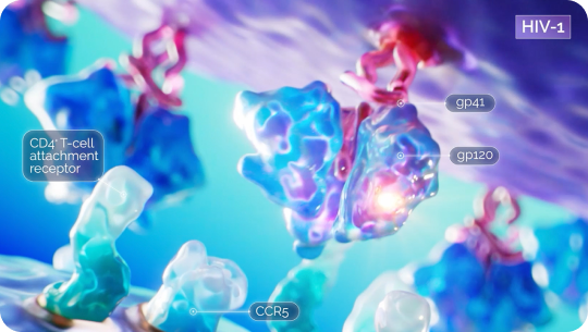 Image of HIV-1 viron, CD4 T cell, gp120 and RUKOBIA
