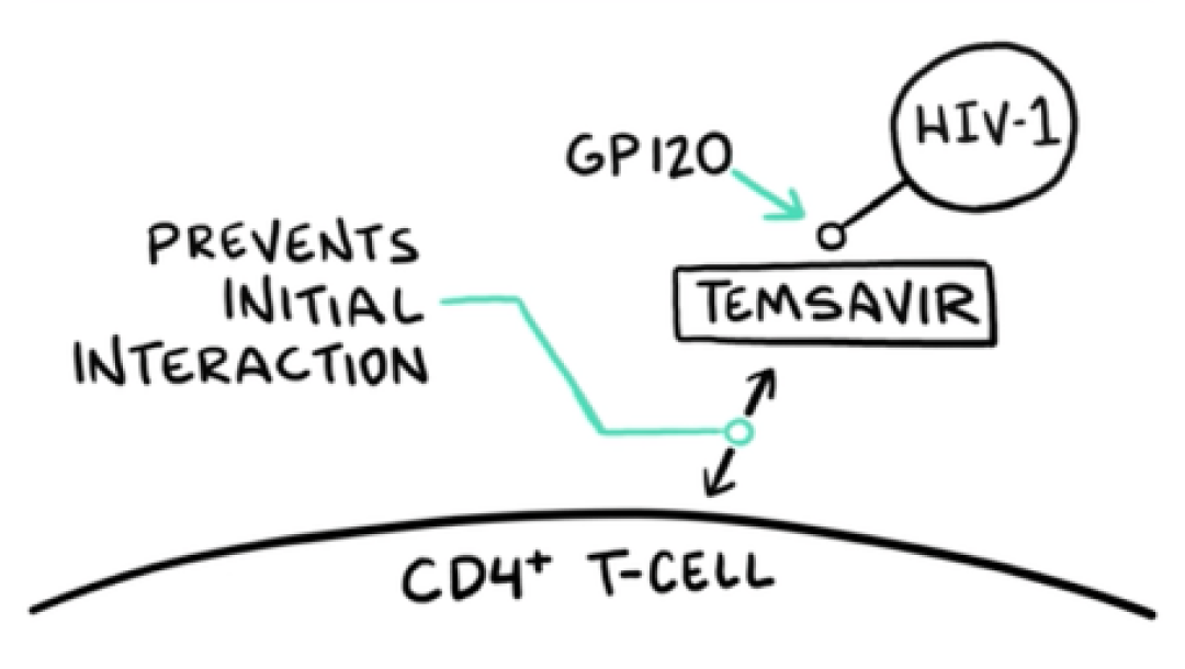 Line drawing depicting RUKOBIA, HIV-1 virions, gp120, and CD4+ T-cell