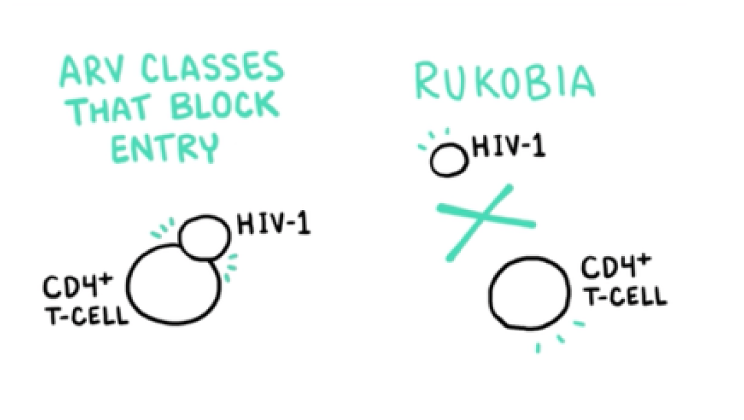 Line drawing depicting RUKOBIA and gp120