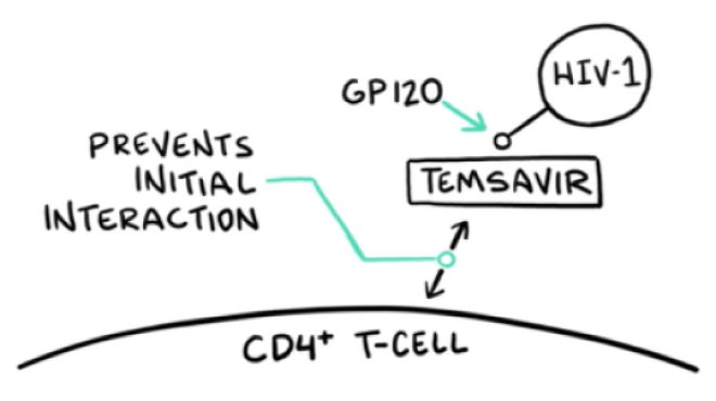 Line drawing depicting RUKOBIA, HIV-1 virions, gp120, and CD4+ T-cell