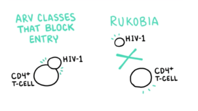 Line drawing depicting RUKOBIA and gp120